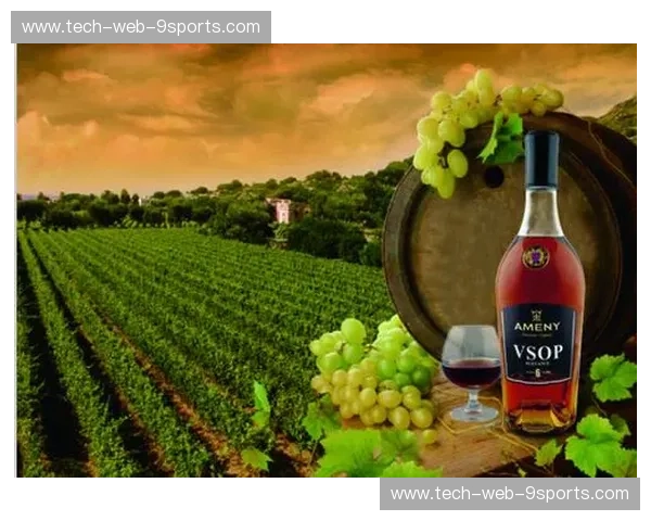 法兰西的优雅与亚美尼亚的坚韧：一场跨越历史与文化的对话